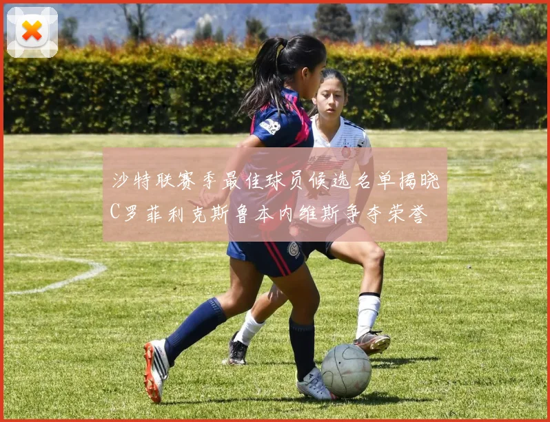 沙特联赛季最佳球员候选名单揭晓C罗菲利克斯鲁本内维斯争夺荣誉